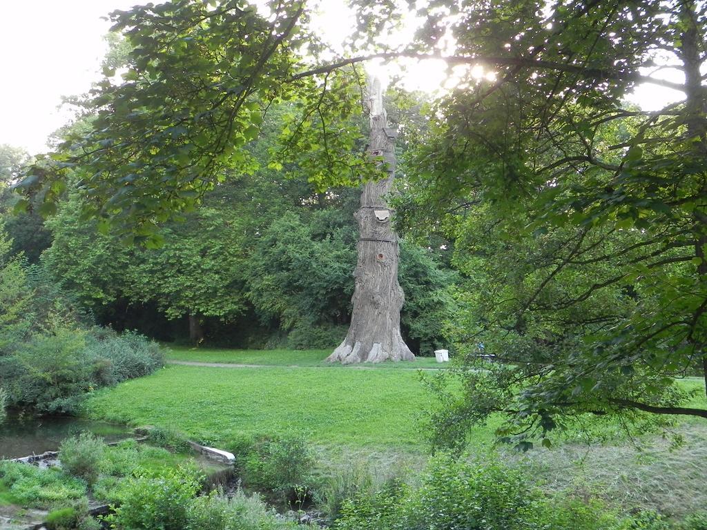 Penzion Krasny Dvur Buitenkant foto
